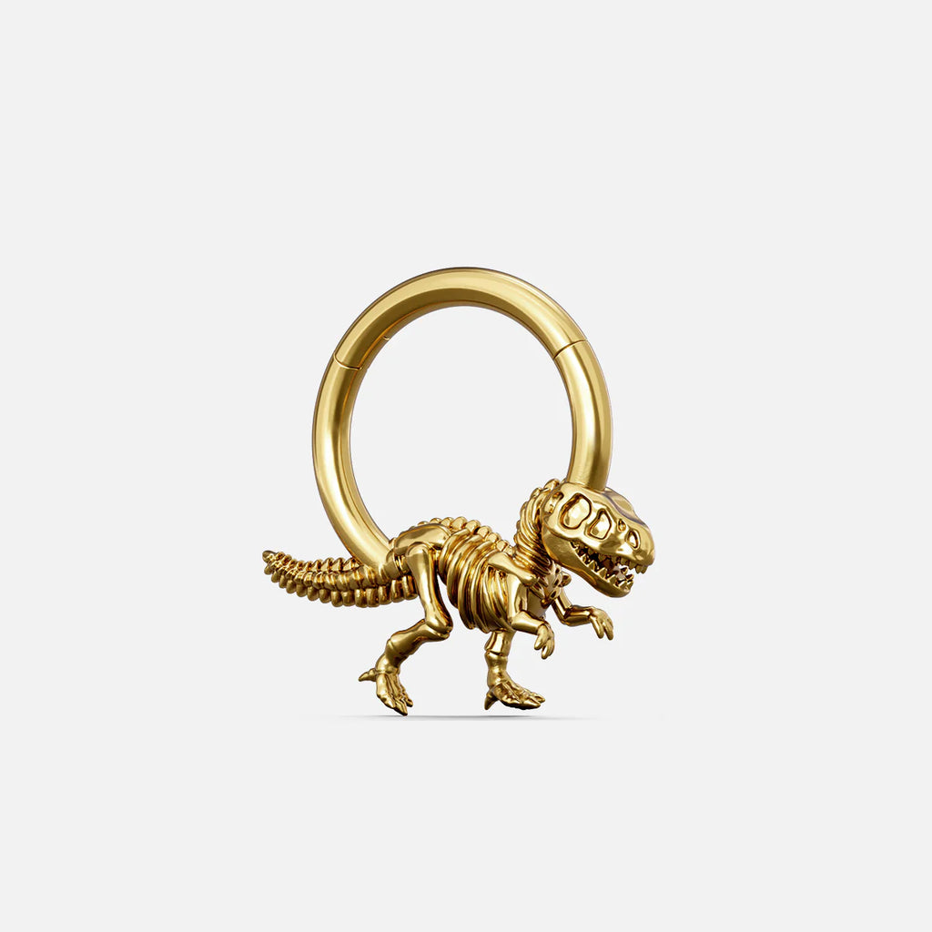 DINOSAUR DELIGHT CLICKER